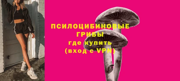 PSILOCYBIN Беломорск